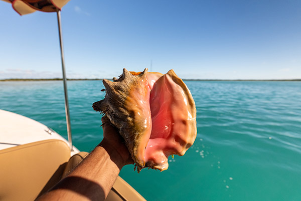 Handheld shot of tourist holding conch shell aboard boat