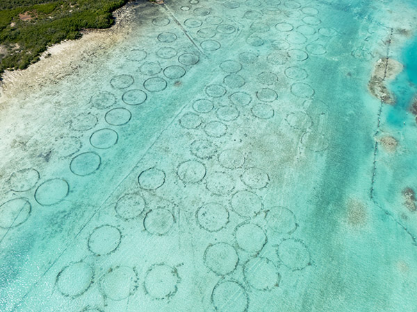 Aerial View of Conch Farm Pools in Shallow Water
