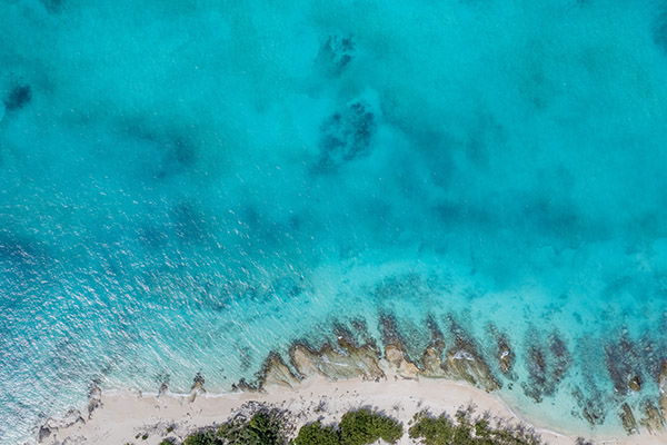 Overhead view of shoreline at Iguana Island
