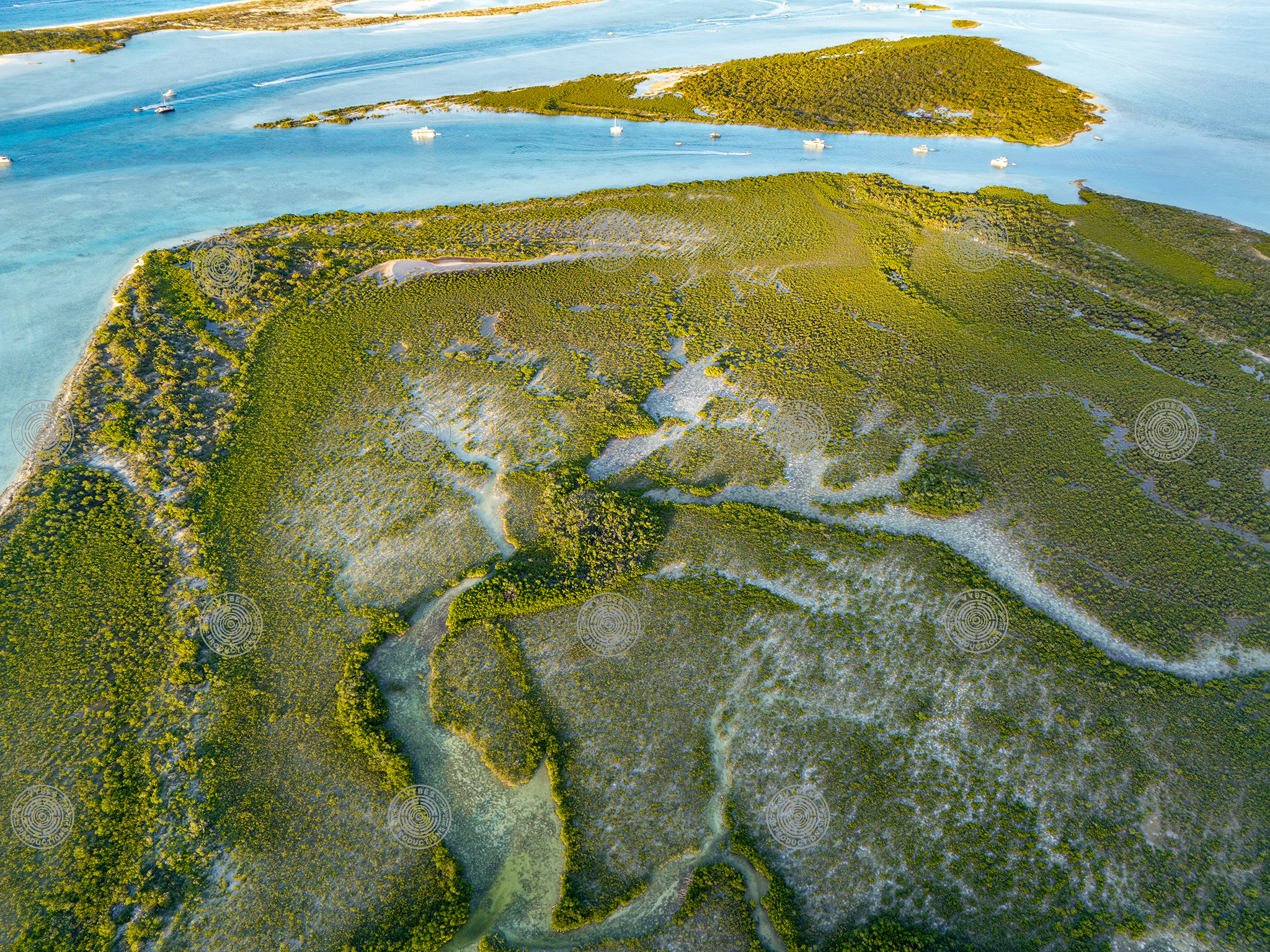 Top down drone shot showcasing the mangroves