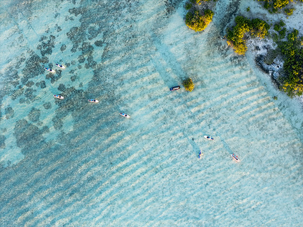 Paddleboarders exploring mangroves in shallow turquoise water