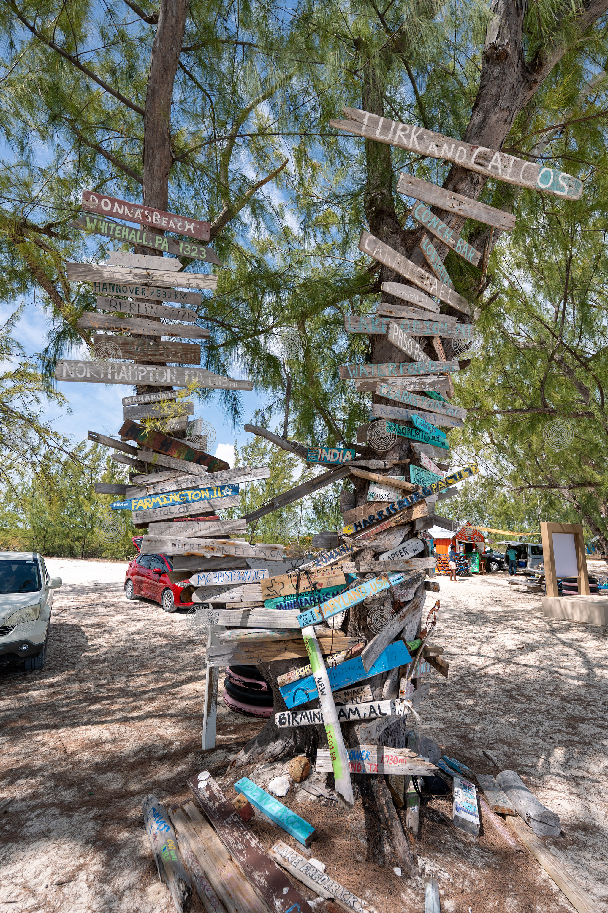 Wooden signs on trees next to Bambarra Beach