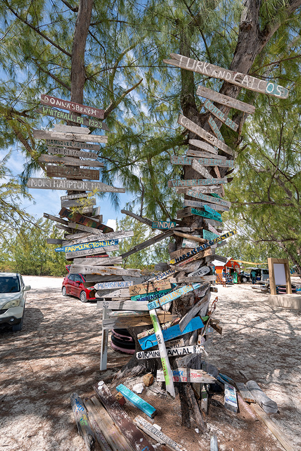 Wooden signs on trees next to Bambarra Beach