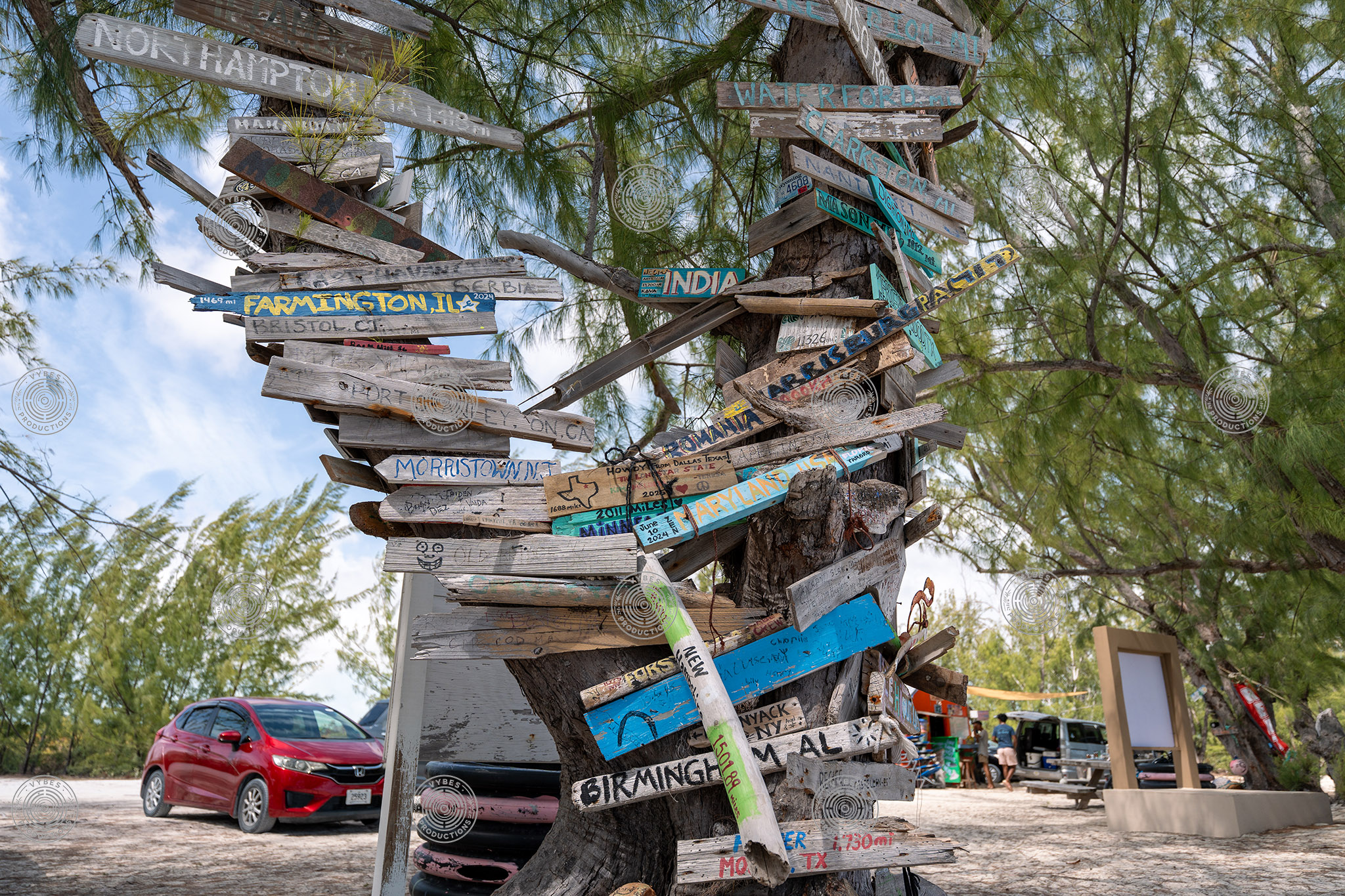 Wooden signs on trees next to Bambarra Beach
