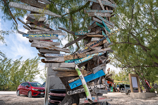 Wooden signs on trees next to Bambarra Beach