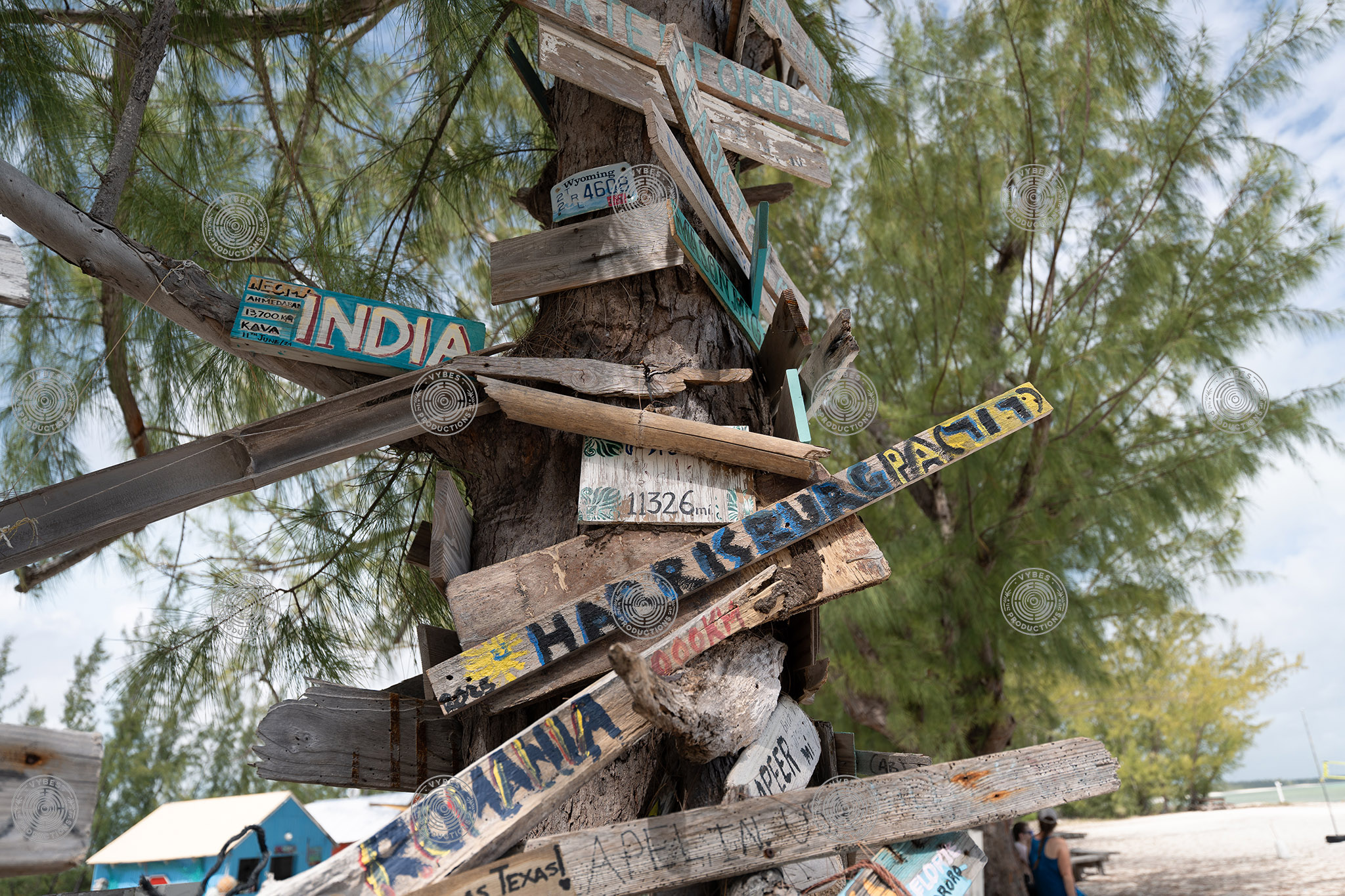Wooden signs on trees next to Bambarra Beach
