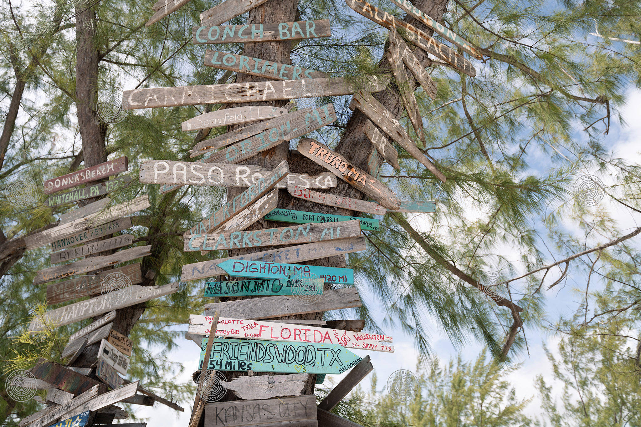 Wooden signs on trees next to Bambarra Beach