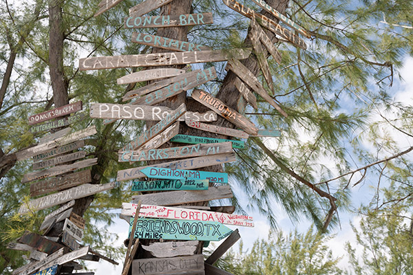 Wooden signs on trees next to Bambarra Beach
