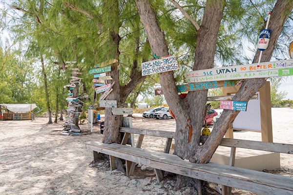 Wooden signs on trees next to Bambarra Beach