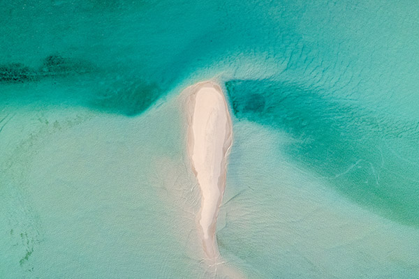 Drone shot of sandbar off of Pine Cay