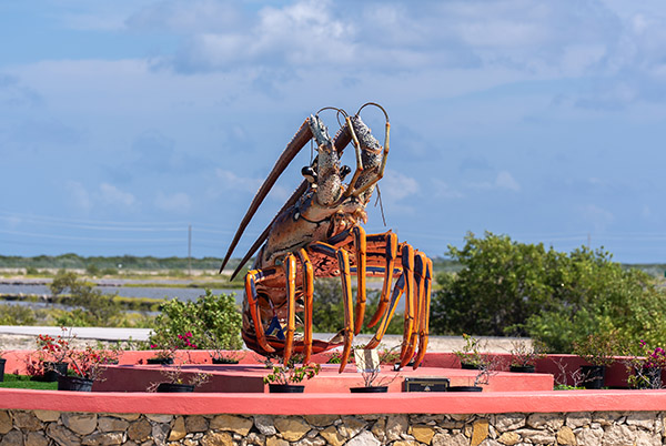 Handheld shot of lobster statue in South Caicos