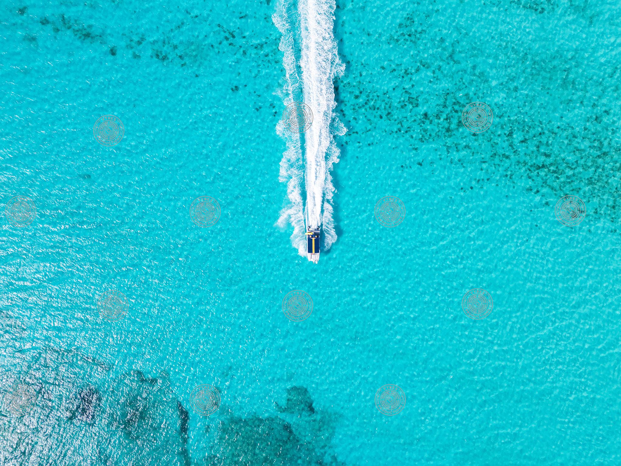 Tour boat leaving trail through clear Grace Bay water