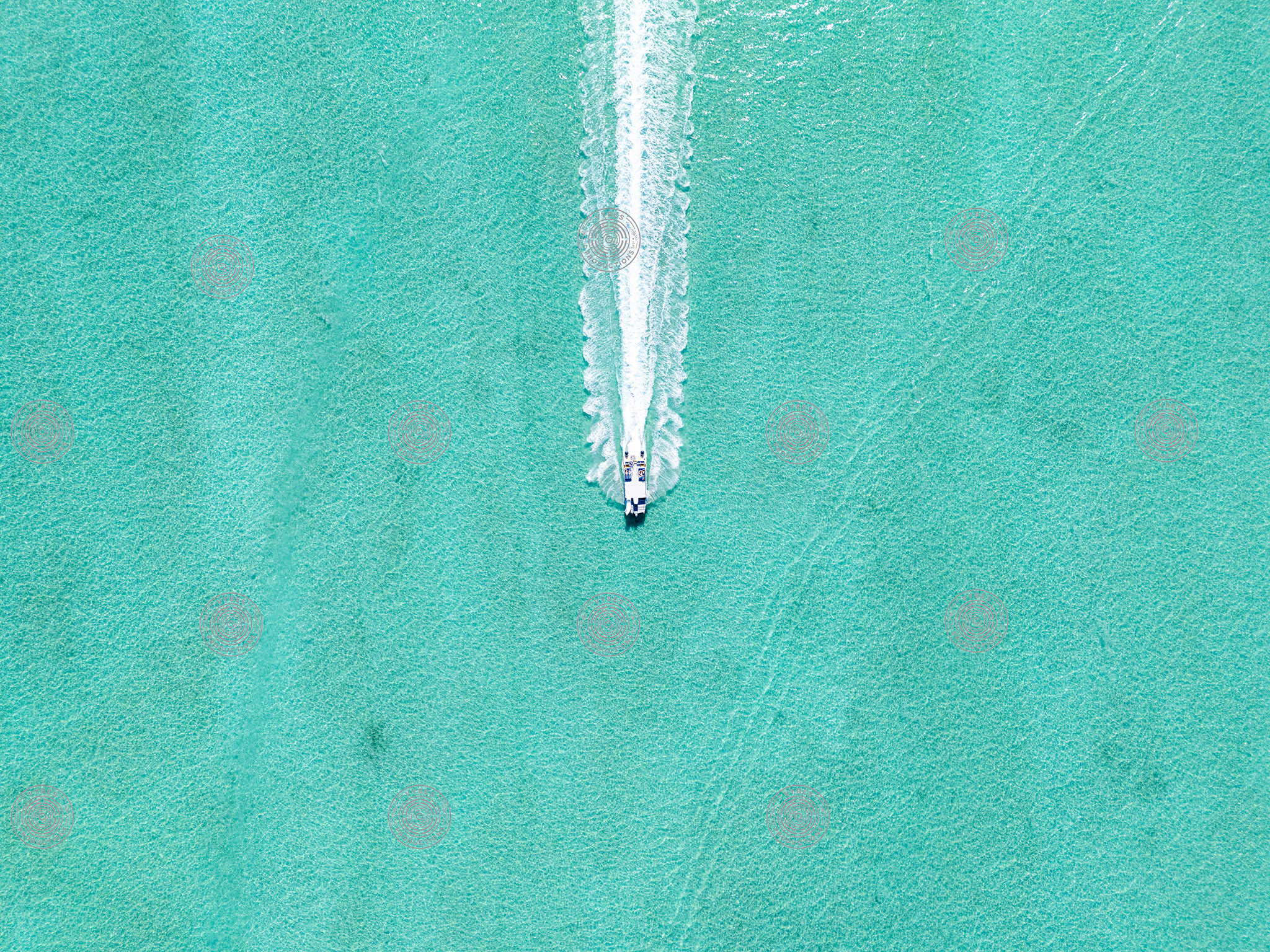 Tour boat leaving trail through shallow clear Grace Bay water