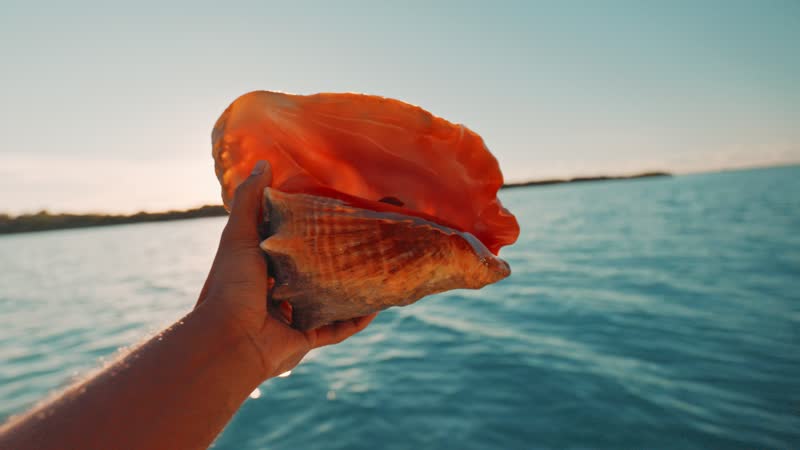 Tourist holding conch shell from boat