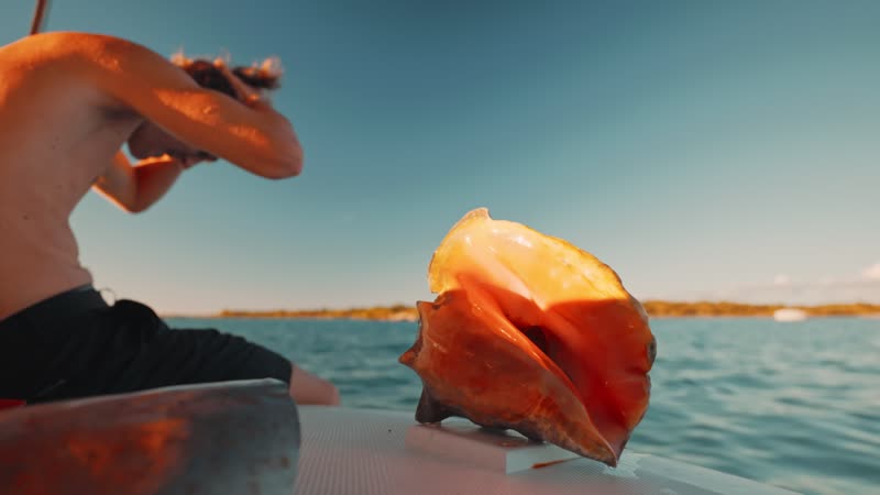 Handheld view of conch shell sitting on boat edge with tourist in the background