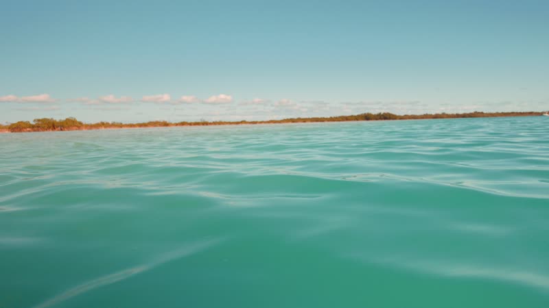 Handheld shot of snorkeler inspecting conch shell on boat
