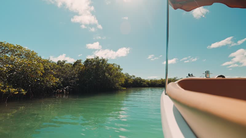 Handheld stationary shot of boat cruising near mangroves