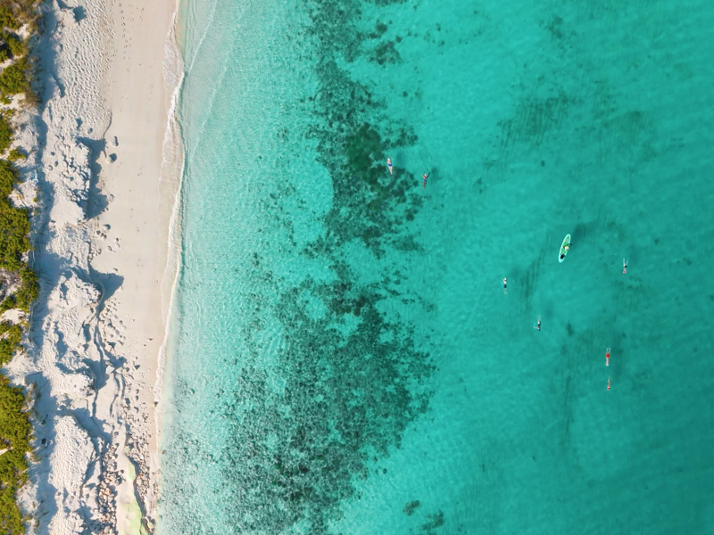 Overhead drone shot of swimmers along Grace Bay Beach
