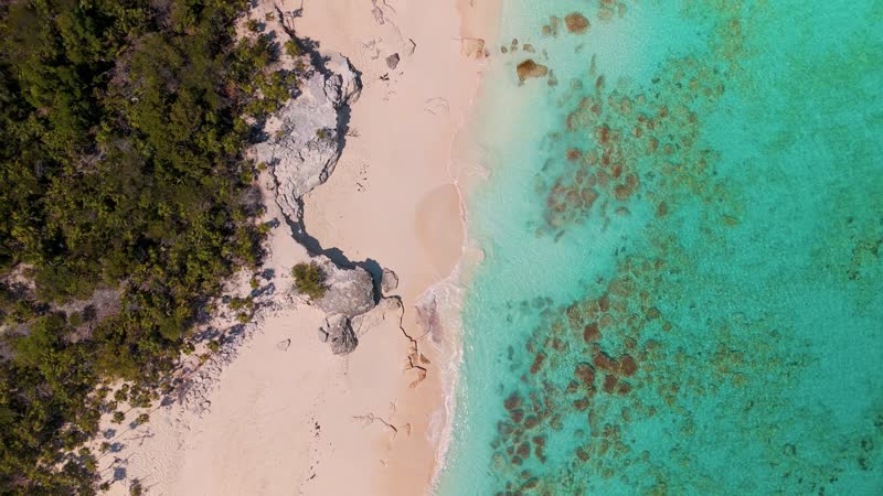 Aerial view of coast on Halfmoon Bay