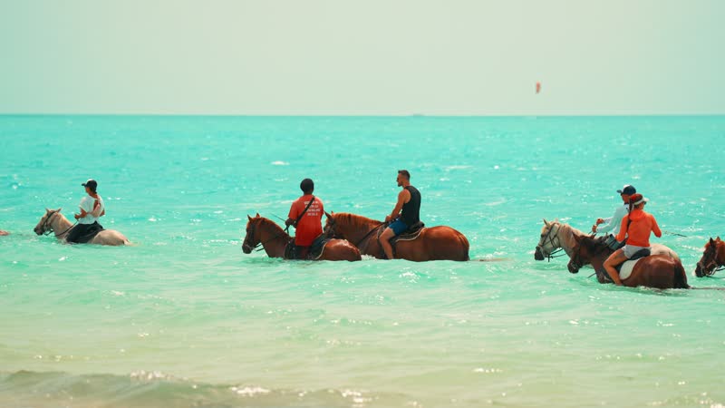 Handheld shot of horses in Long Bay waters