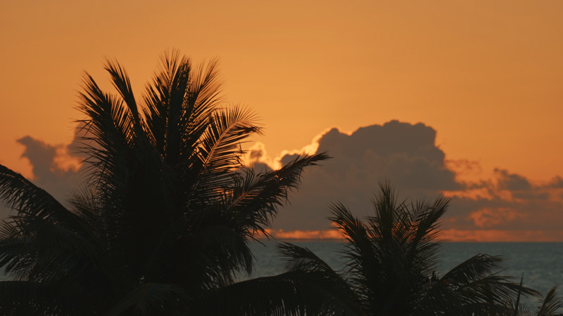 Slow-motion shot of sunrise over Long Bay Beach
