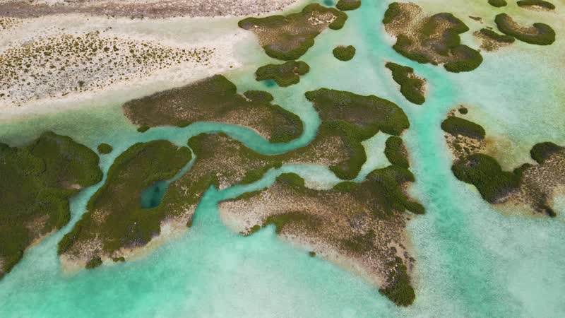 Aerial view of mangrove cays in Middle Caicos
