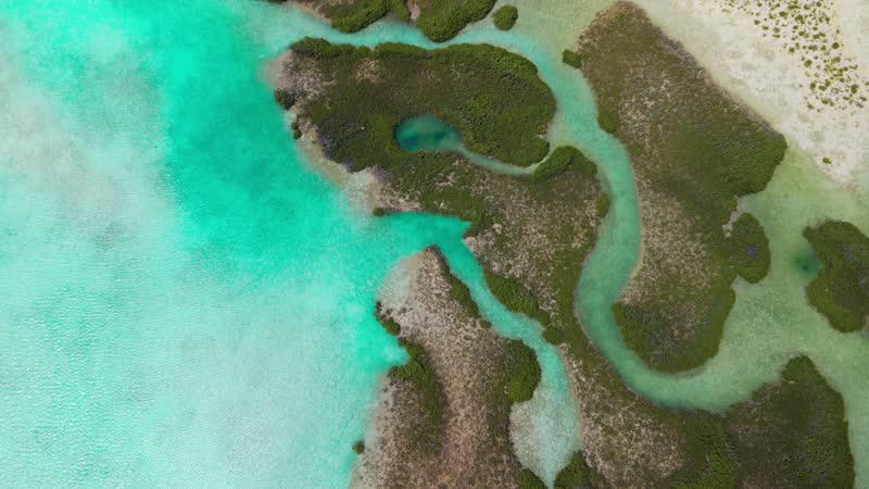 Aerial view of mangrove cays in Middle Caicos