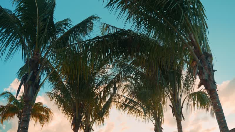 Sunset handheld shot of restaurant at Wymara Villas